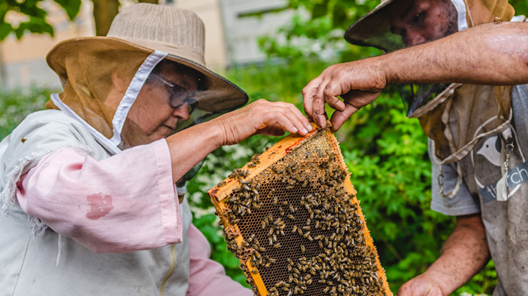 Les volontaires de Hives for Humanity ont l'opportunité d'acquérir des compétences, d'acquérir une expérience enrichissante et de favoriser des relations de soutien via le programme apicole thérapeutique.