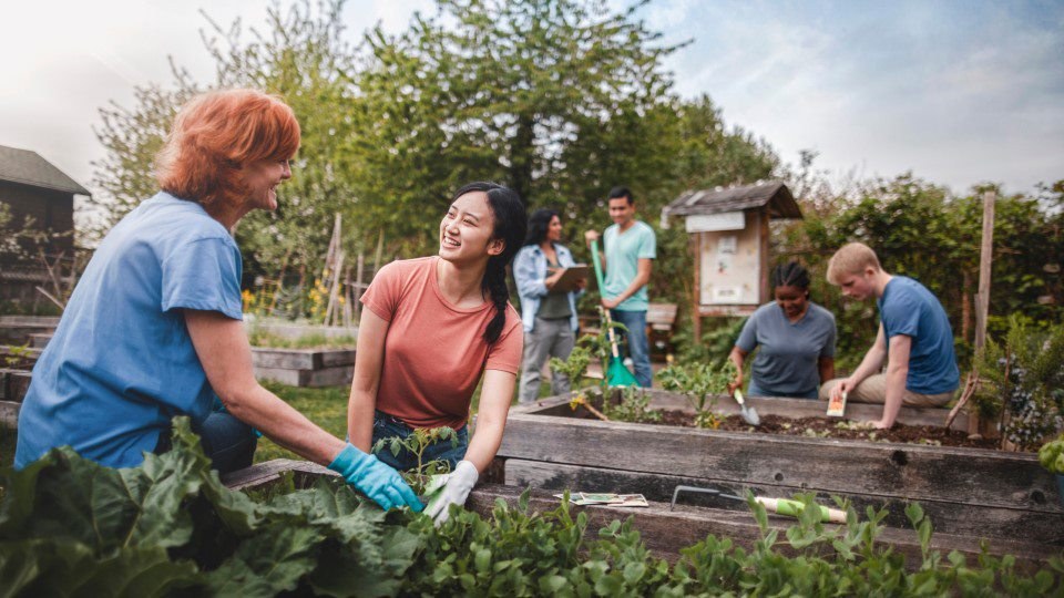Un groupe multiracial de jeunes hommes et de jeunes femmes se rassemble comme volontaires pour planter des légumes dans un jardin communautaire