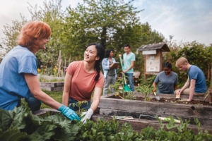 Un groupe multiracial de jeunes hommes et de jeunes femmes se rassemble comme volontaires pour planter des légumes dans un jardin communautaire