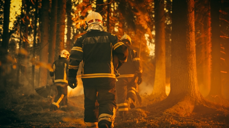 Header How TD Insurance colleagues are helping those affected by wildfires