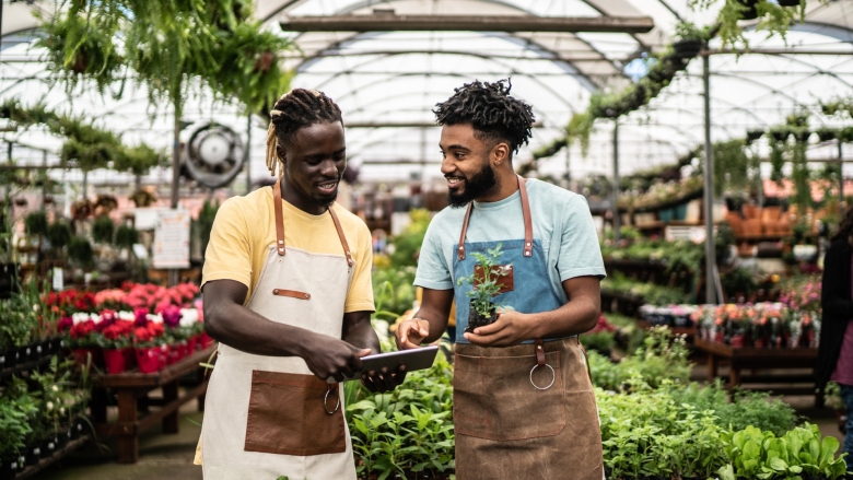 Header Some tips for selecting the right TD credit card for your business
