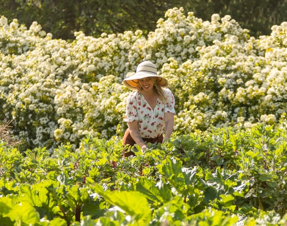 Solara Goldwynn Farm and Food Systems Lead Royal Roads University
